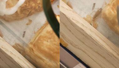 Vaizdas vienoje parduotuvių nemaloniai nustebino: tarp bandelių ropinėjo tarakonas