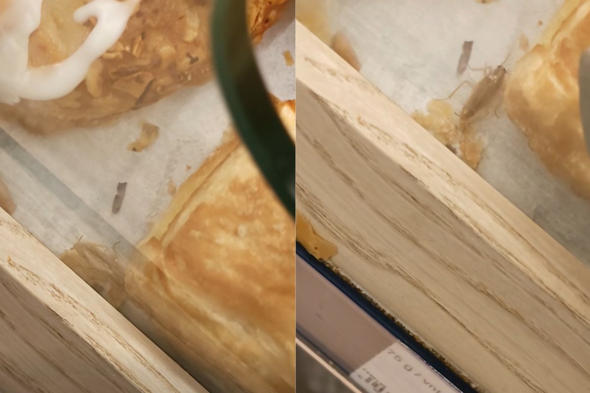 Vaizdas vienoje parduotuvių nemaloniai nustebino: tarp bandelių ropinėjo tarakonas