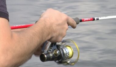 Įsigalioja draudimas gaudyti vėgėles | tv3.lt