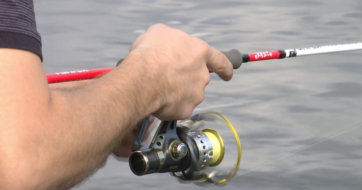 Įsigalioja draudimas gaudyti vėgėles | tv3.lt