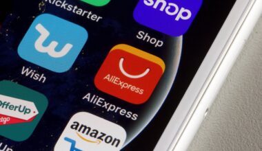 Apsipirkimas kinų programėlėse: ekspertų įspėjimai