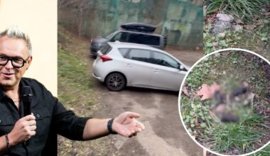 Egmontas Bžeskas pasišlykštėjo tuo, ką išvydo nepigioje automobilių stovėjimo aikštelėje: turiu per tai eiti