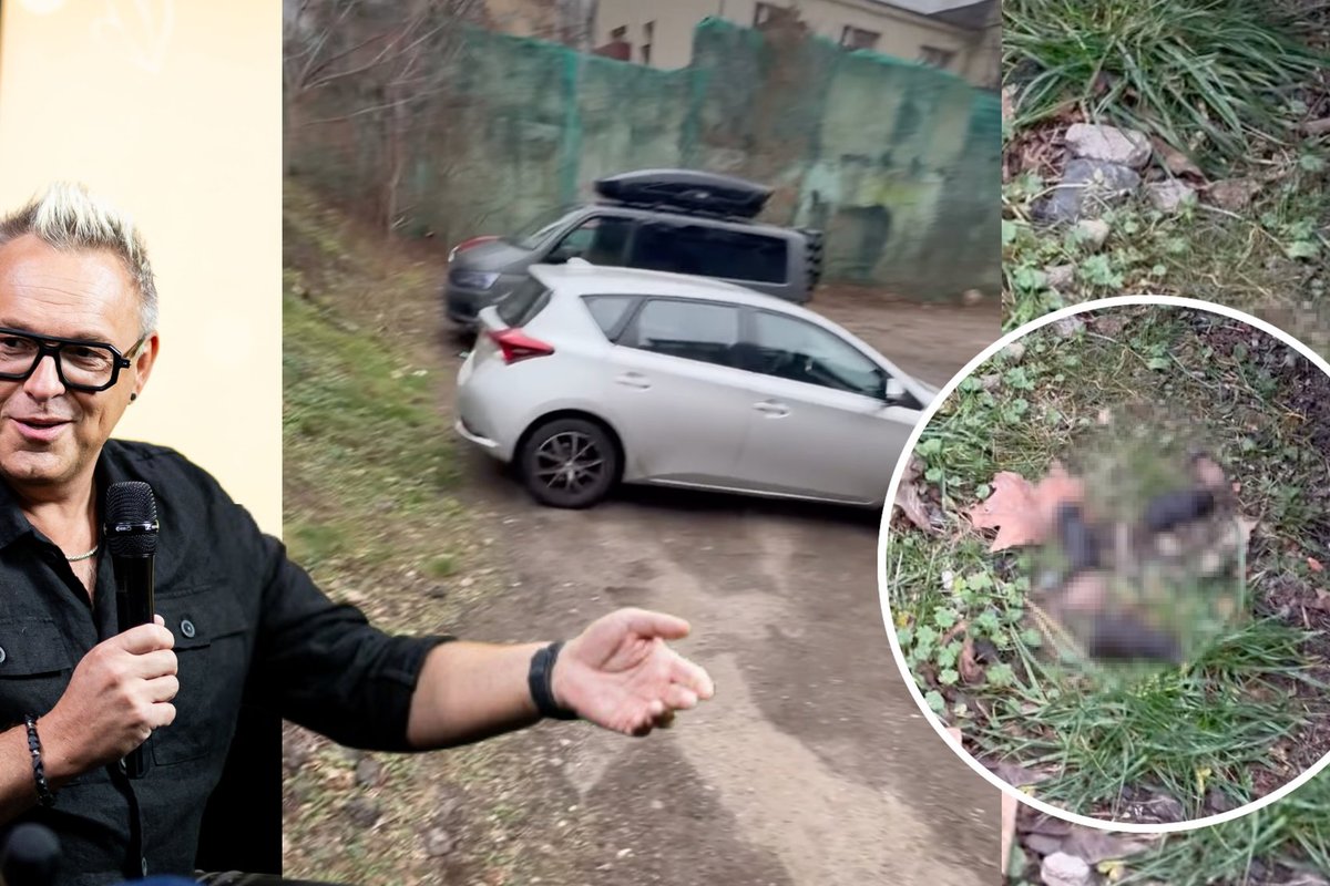 Egmontas Bžeskas pasišlykštėjo tuo, ką išvydo nepigioje automobilių stovėjimo aikštelėje: turiu per tai eiti