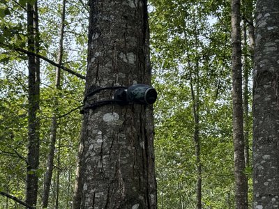 Miškininkų ir žurnalistų reidas