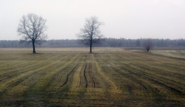 NŽT nustatė beveik 300 ha apleistos valstybinės žemės