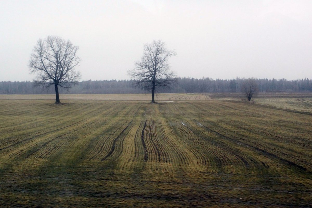 NŽT nustatė beveik 300 ha apleistos valstybinės žemės