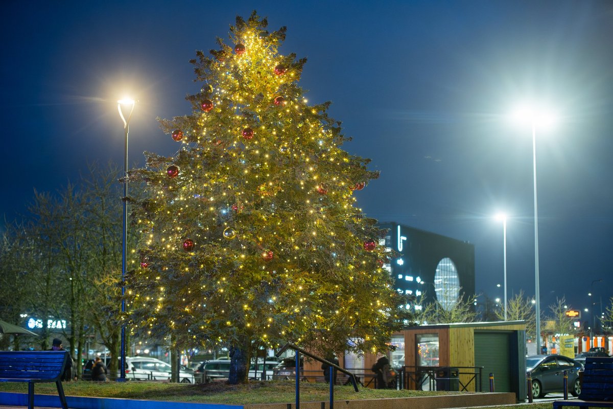 Apžiūrėkite Vilniaus seniūnijų kalėdines eglutes: šventiniai papuošimai – ne tik senamiestyje