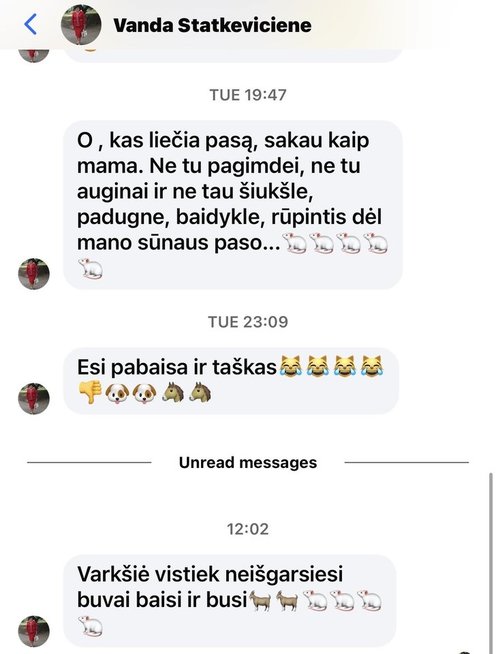 Vados Statkevičienės žinutės (nuotr. facebook.com)