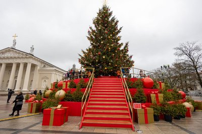 Vilniaus Kalėdų eglė dieną