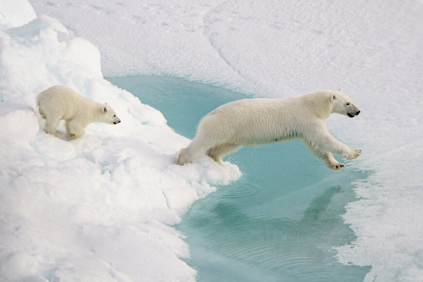 Dano Pankevičiaus asmeninio archyvo nuotr. / Dano Pankevičiaus ekspedicija ledlaužiu į Šiaurės ašigalį