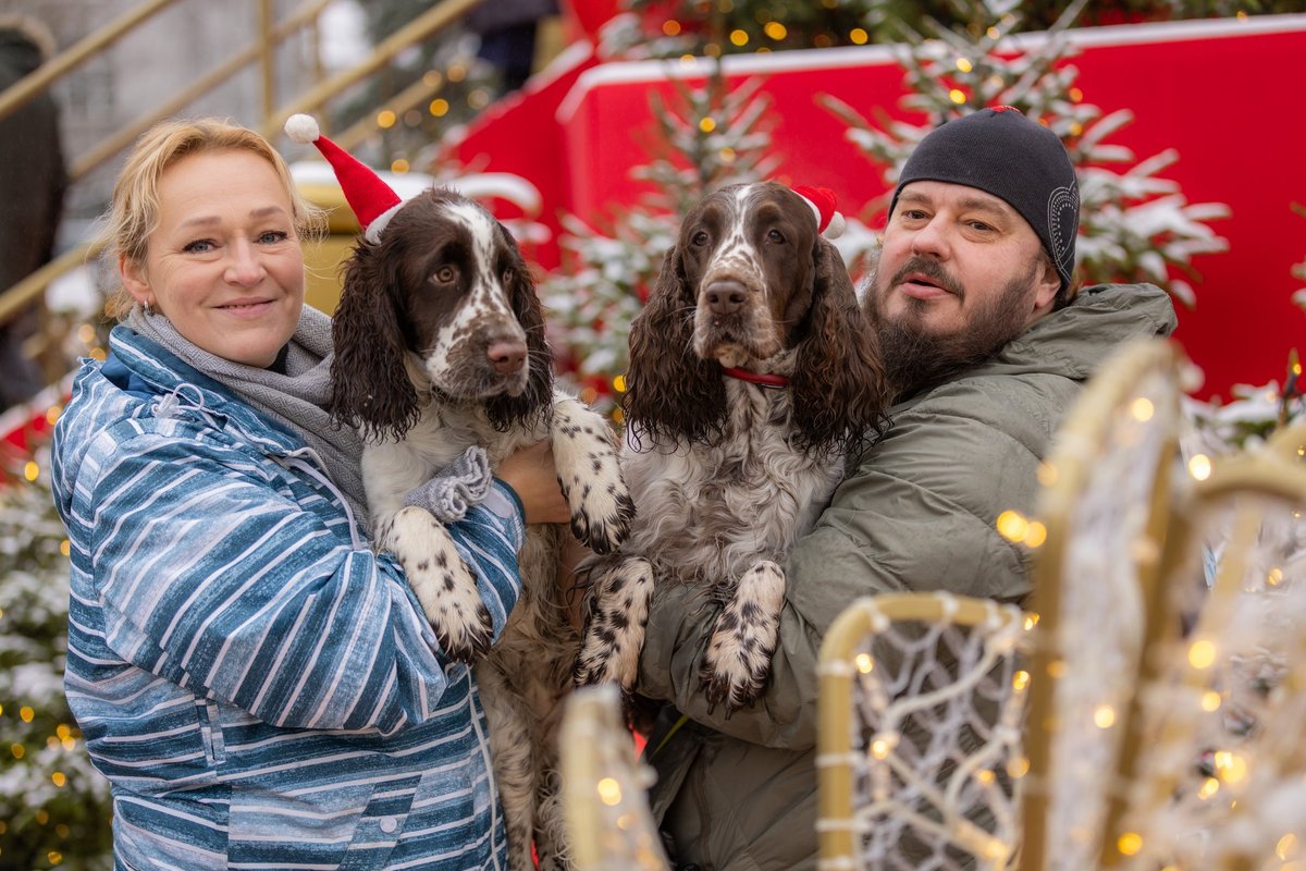 Prie Vilniaus miesto Kalėdų eglės – gausus būrys spanielių