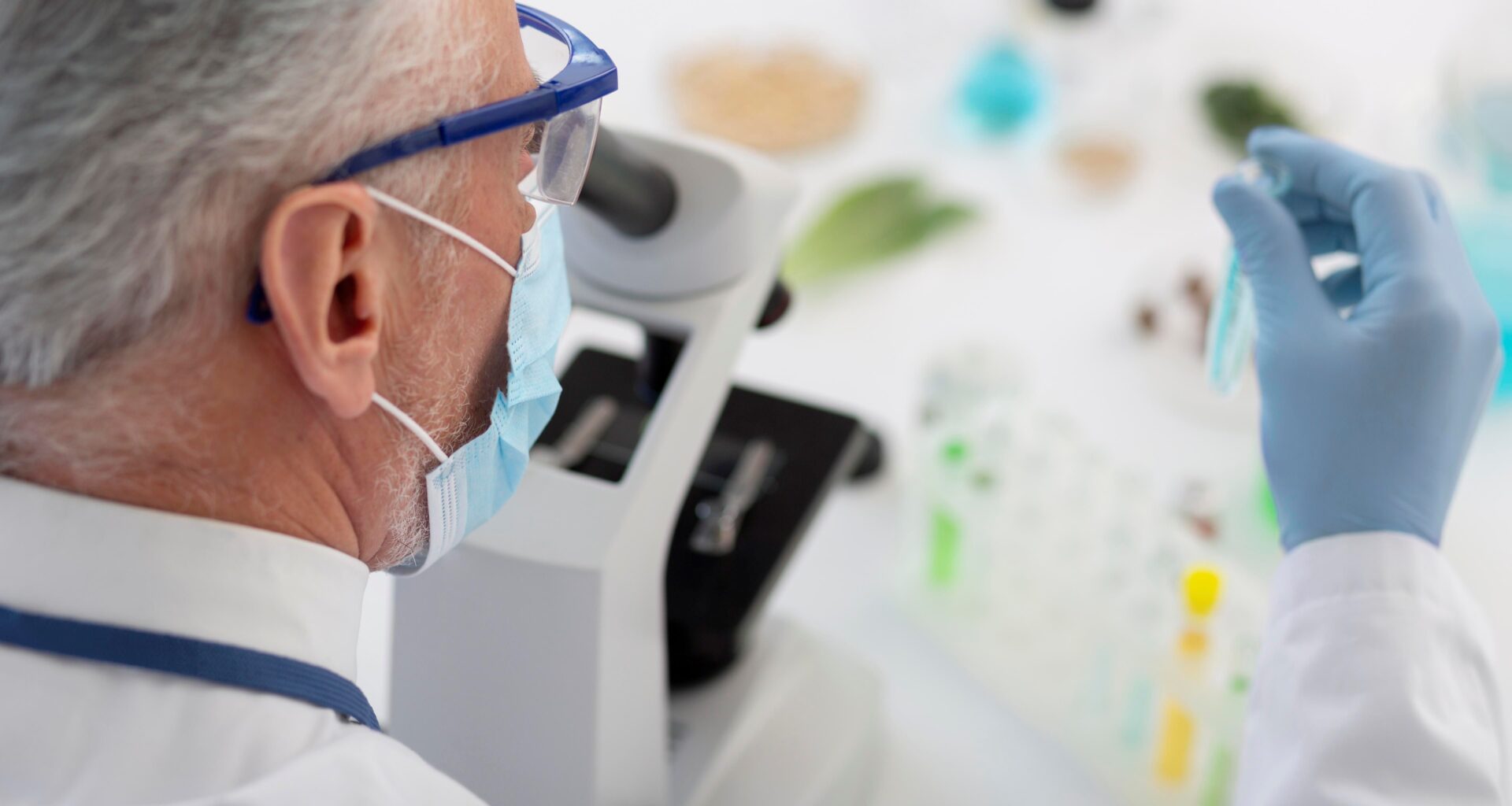 Mokslininkai rado seniausią pasaulyje gyvūną ir tą pačią dieną netyčia jį nužudė