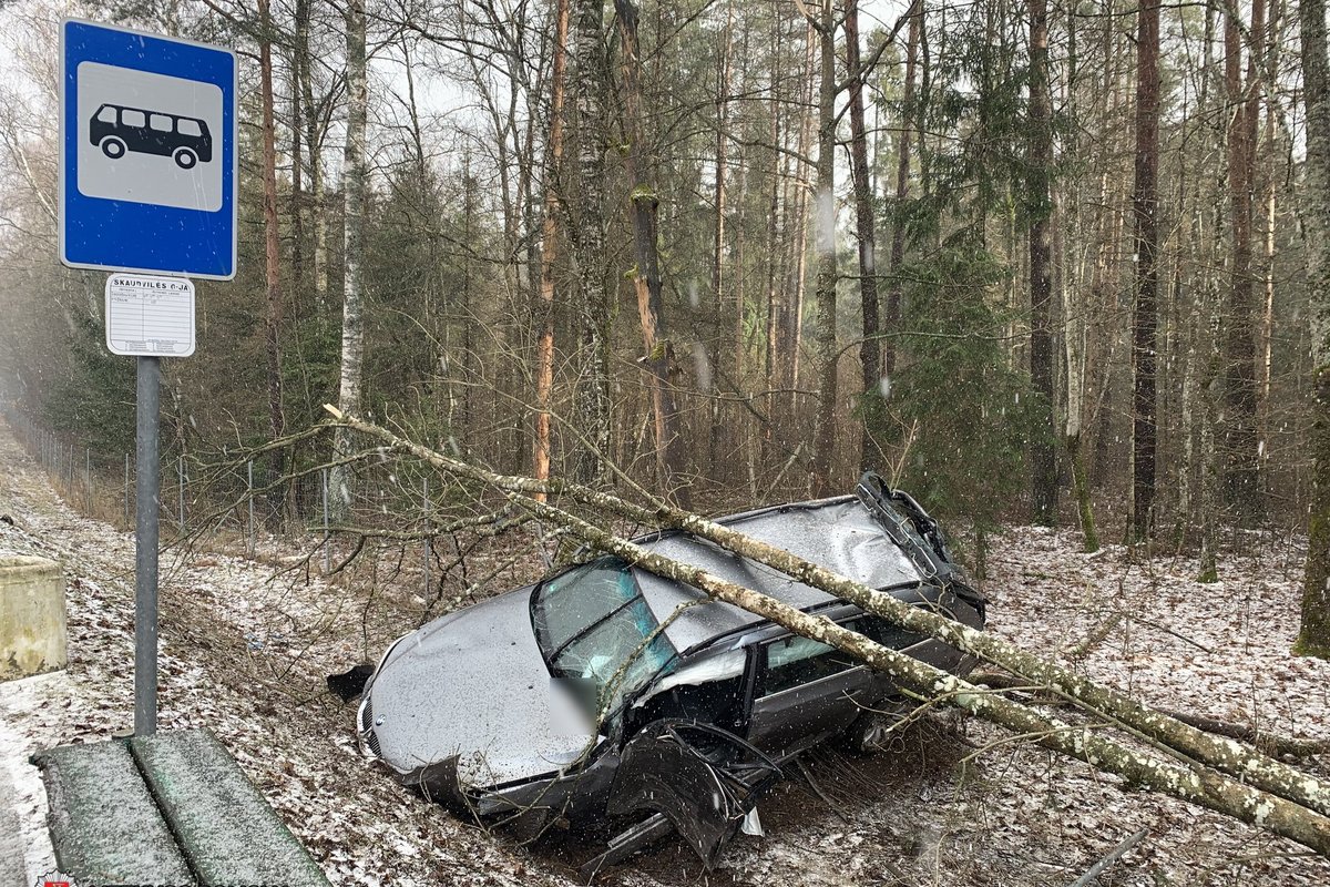 Per kelias valandas pateko į dvi avarijas: BMW paliko griovyje, po to su „Opel“ tėškėsi į medį