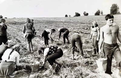 VU žurnalistikos studentai kolūkyje Dzūkijoje, 1975 m. 