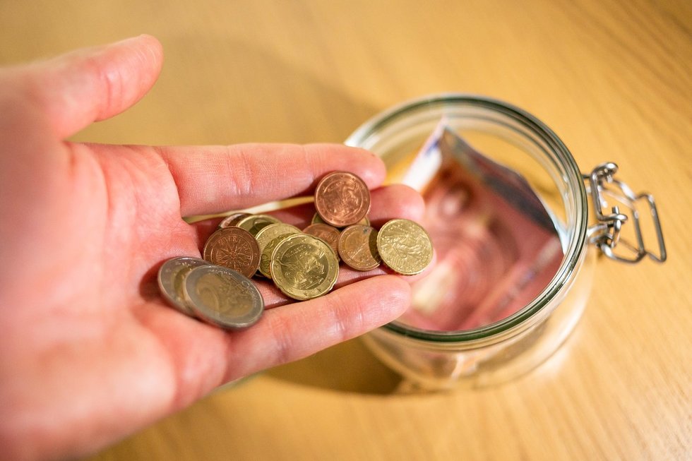 Pinigai (Žygimantas Gedvila/ BNS nuotr.)