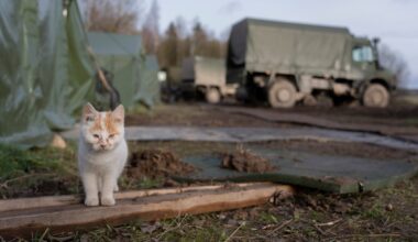 Lietuvos kariuomenėje – du nauji ir neįprasti „kariai“