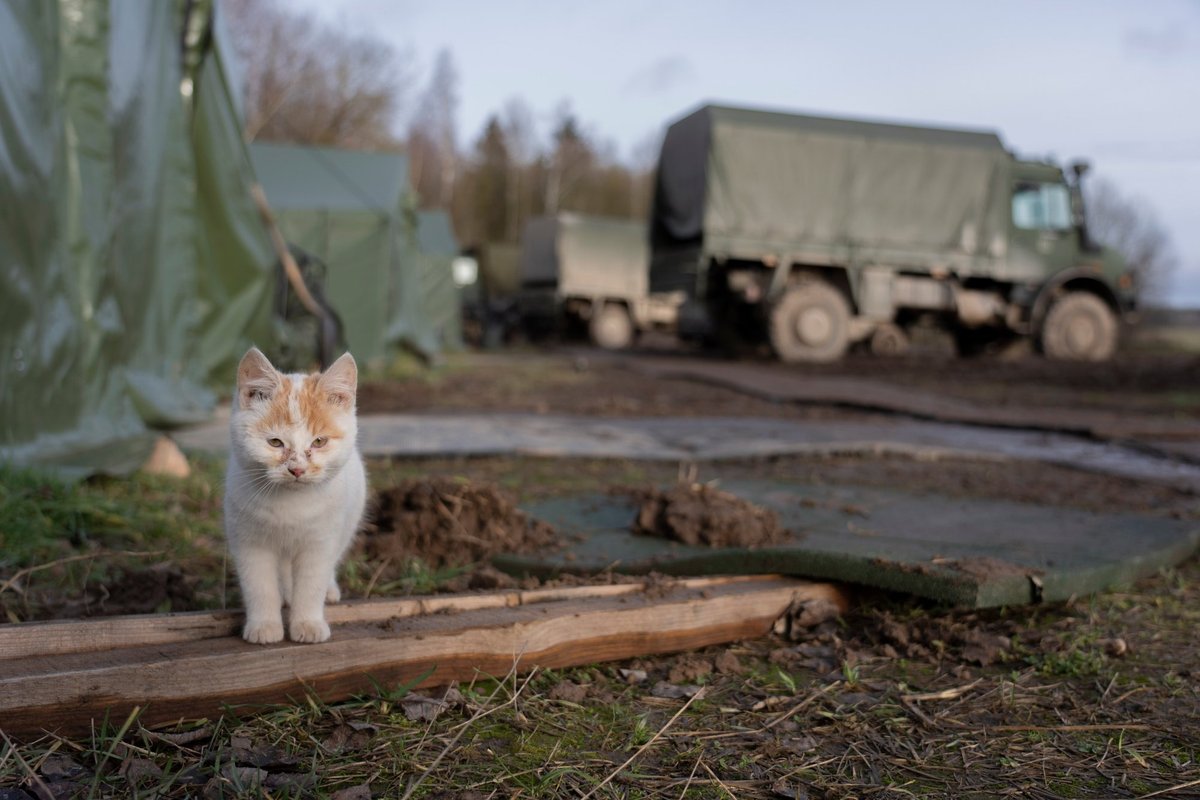 Lietuvos kariuomenėje – du nauji ir neįprasti „kariai“