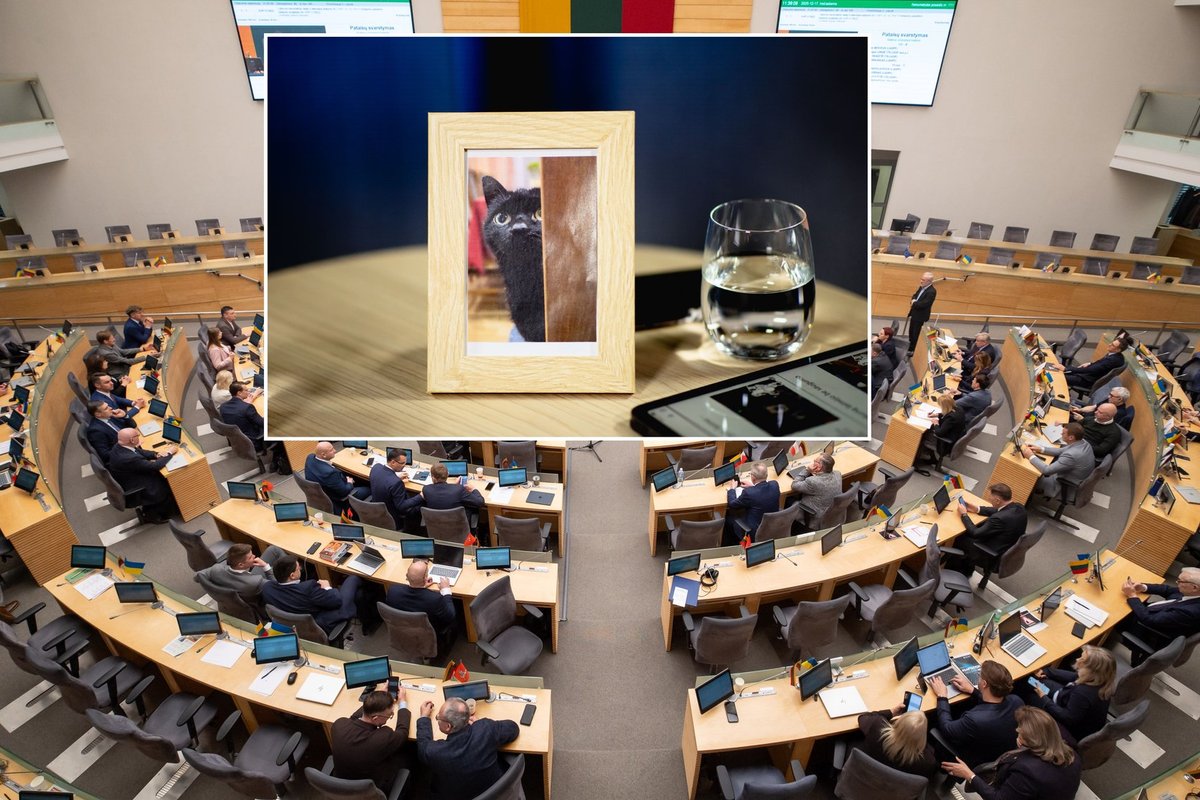 Ko siekia LRT pataisų iniciatoriai