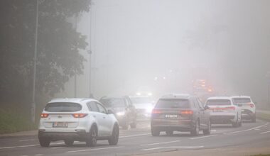 Pirmąsias žiemos dienas gaubs rūkas