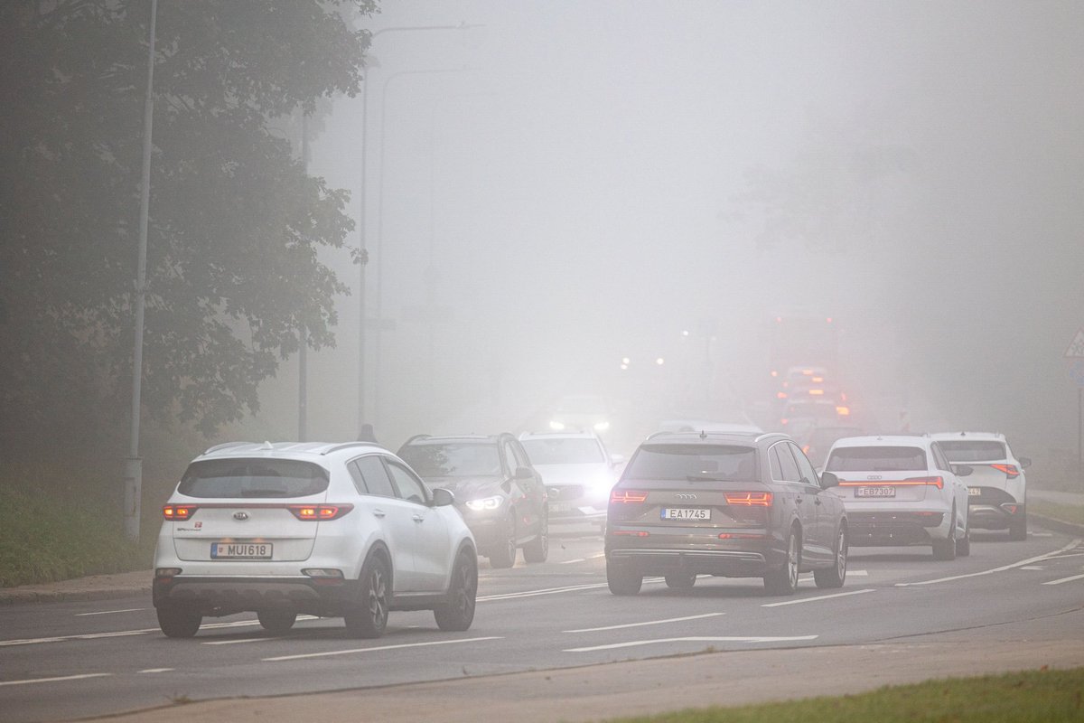 Pirmąsias žiemos dienas gaubs rūkas