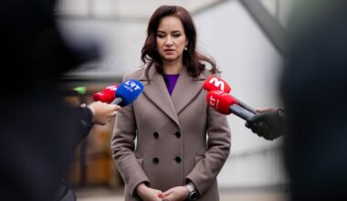 Ruginienė: jeigu lauktume pavasario – žaizda kraujuotų dar labiau