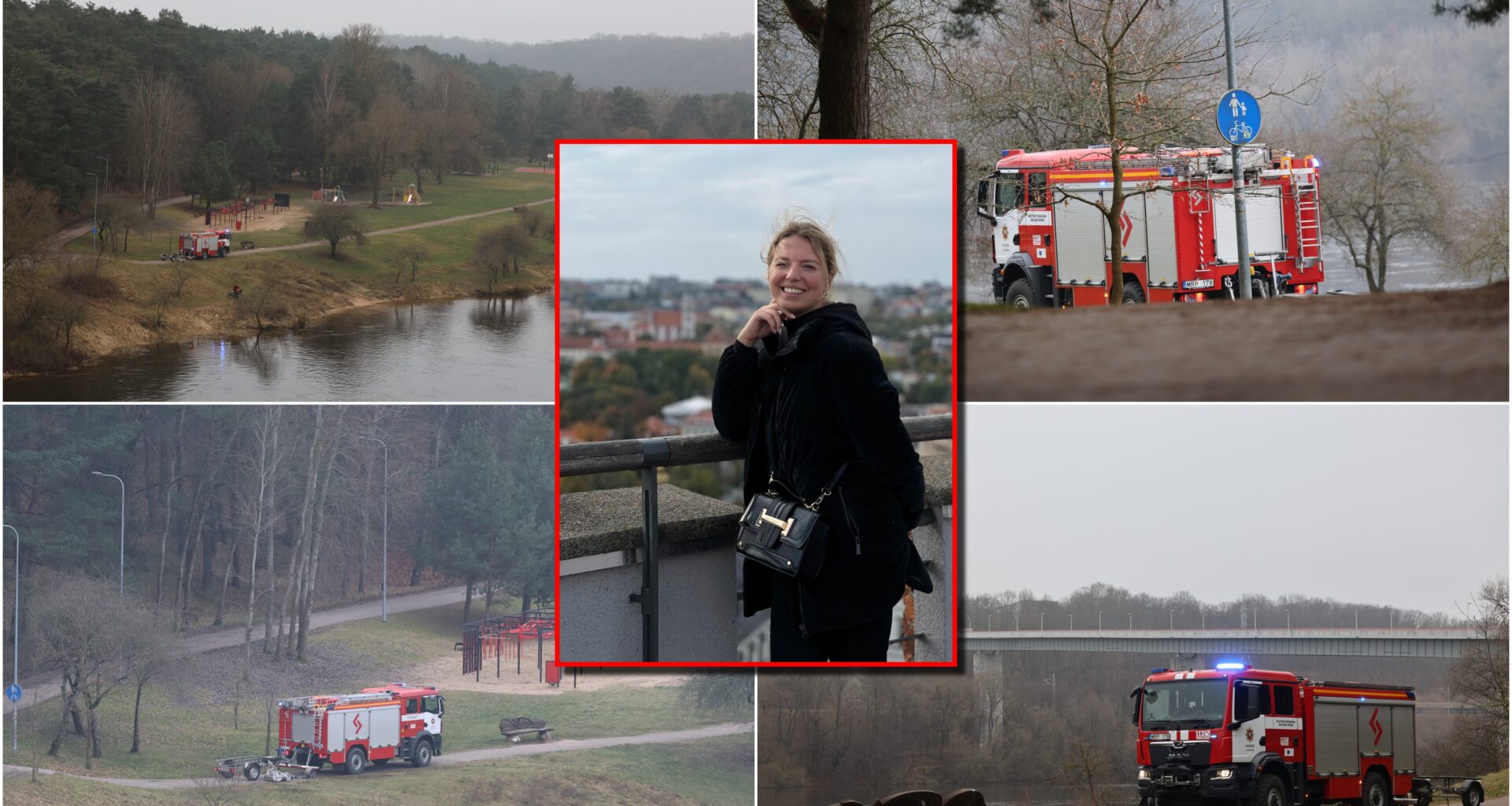 dingo dar viena jauna moteris