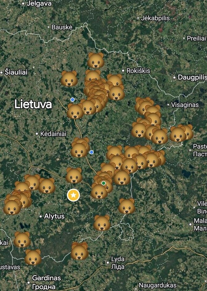  Ignalinos medžiotojų bendruomenės nuotr./Ignalinos gatvėse per Kalėdas pasirodė meška