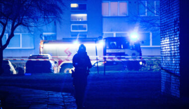 Pranešama apie dar vienos jaunos merginos nužudymą Kaune: šalia namo galimai rasta granata