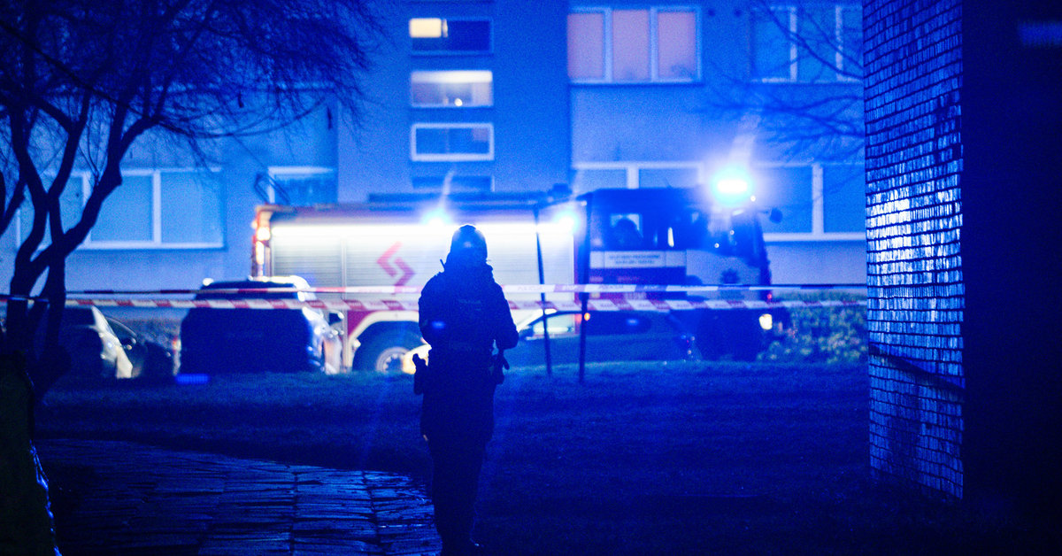 Pranešama apie dar vienos jaunos merginos nužudymą Kaune: šalia namo galimai rasta granata