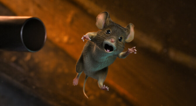 Filmo „Kaip peliukai Kalėdas griovė“ kadras