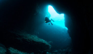 Žuvusio naro palaikų iškėlimas nulėmė tragediją: niekas nesitikėjo, į ką pavirto žmogaus kūnas | Gyvenimas