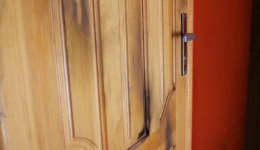 Kaune apgadintos moters buto durys: į spyną pripilta klijų, apdeginta stakta