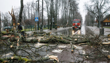 „Nuo vėjo kažkas lūžta“: Smalininkų stadione griuvo siena, kitur ant kelių virto medžiai