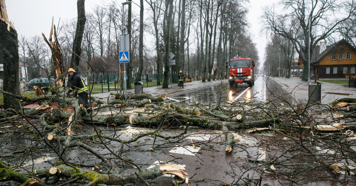 „Nuo vėjo kažkas lūžta“: Smalininkų stadione griuvo siena, kitur ant kelių virto medžiai