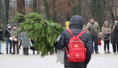 Akcija „Parsinešk Kalėdas į savo namus“: vietoje tradicinės eglės – nemokama kalėdinė šaka