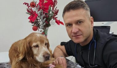 Per Kūčias šunelio Gauso laukė trečia chemoterapija: veterinaras pasakė, kaip jam sekasi kovoti su liga | Vardai