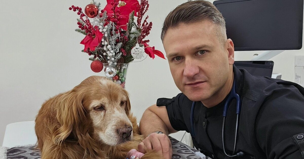 Per Kūčias šunelio Gauso laukė trečia chemoterapija: veterinaras pasakė, kaip jam sekasi kovoti su liga | Vardai