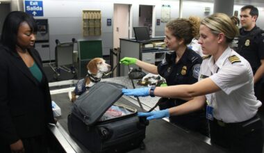 Sprogstanti naujiena keliautojams: oro uoste diegiama sistema, kuri gali pakeisti visos Europos keliones