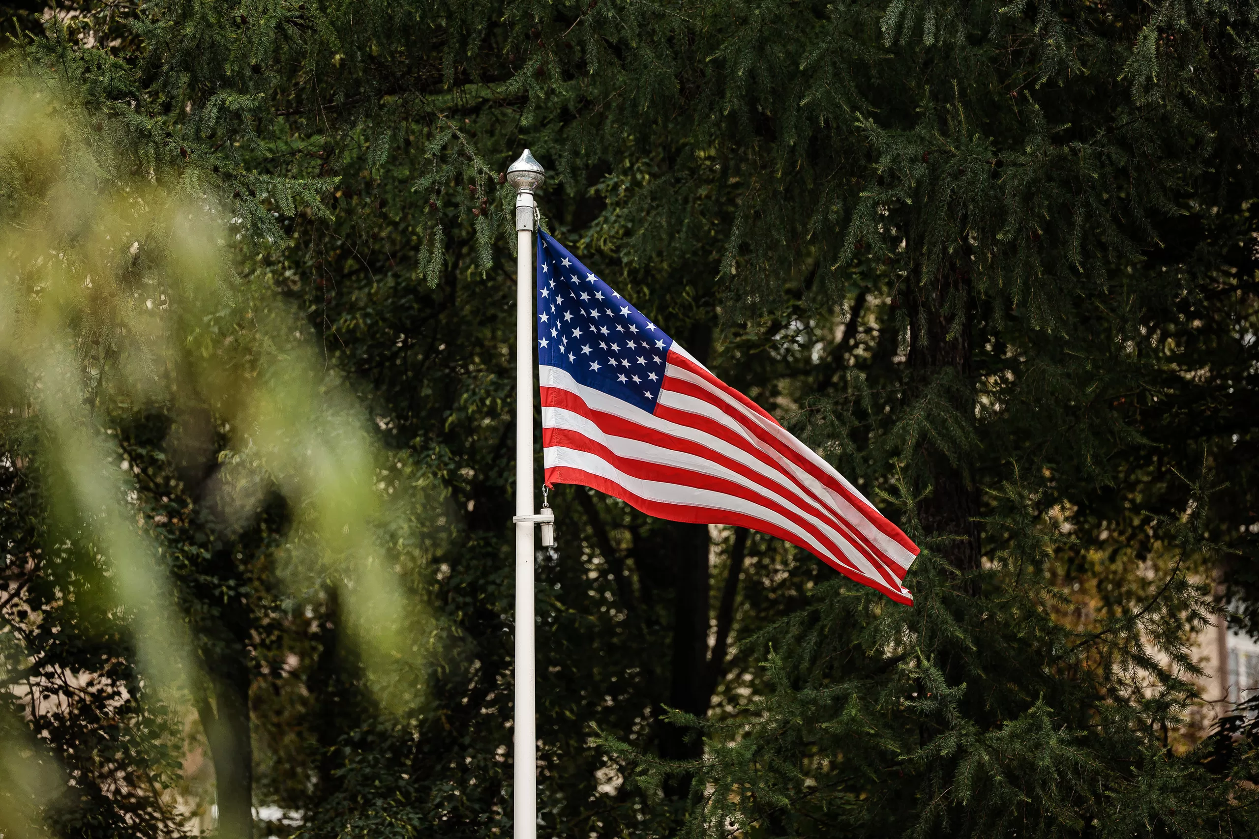 Amerikos JAV vėliava