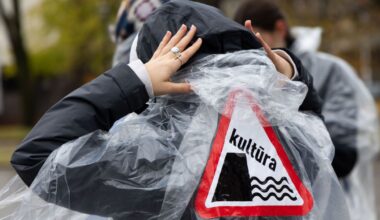 Regina MUSNECKIENĖ: Ar iš protestų gimsta nauja partija? - Respublika.lt