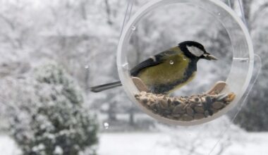 Sustok, naktie, sustok - diena! - Respublika.lt