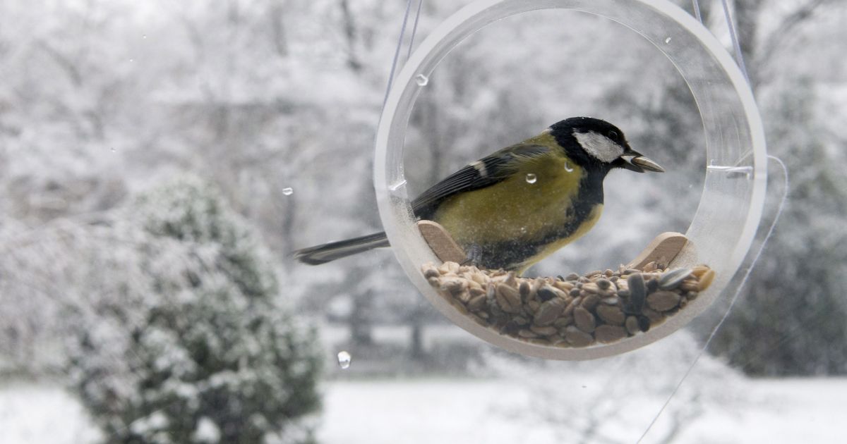 Sustok, naktie, sustok - diena! - Respublika.lt