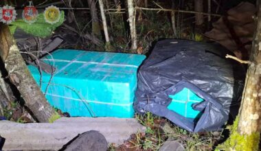 Smūgis oro kontrabandai: sulaikė 21 įtariamos gaujos narį - Respublika.lt