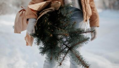 Miškininkai nemokamai dalins eglių ir pušų šakas - Respublika.lt