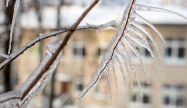 Sinoptikų prognozė savaitgaliui: sulauksime permainingų orų - Respublika.lt