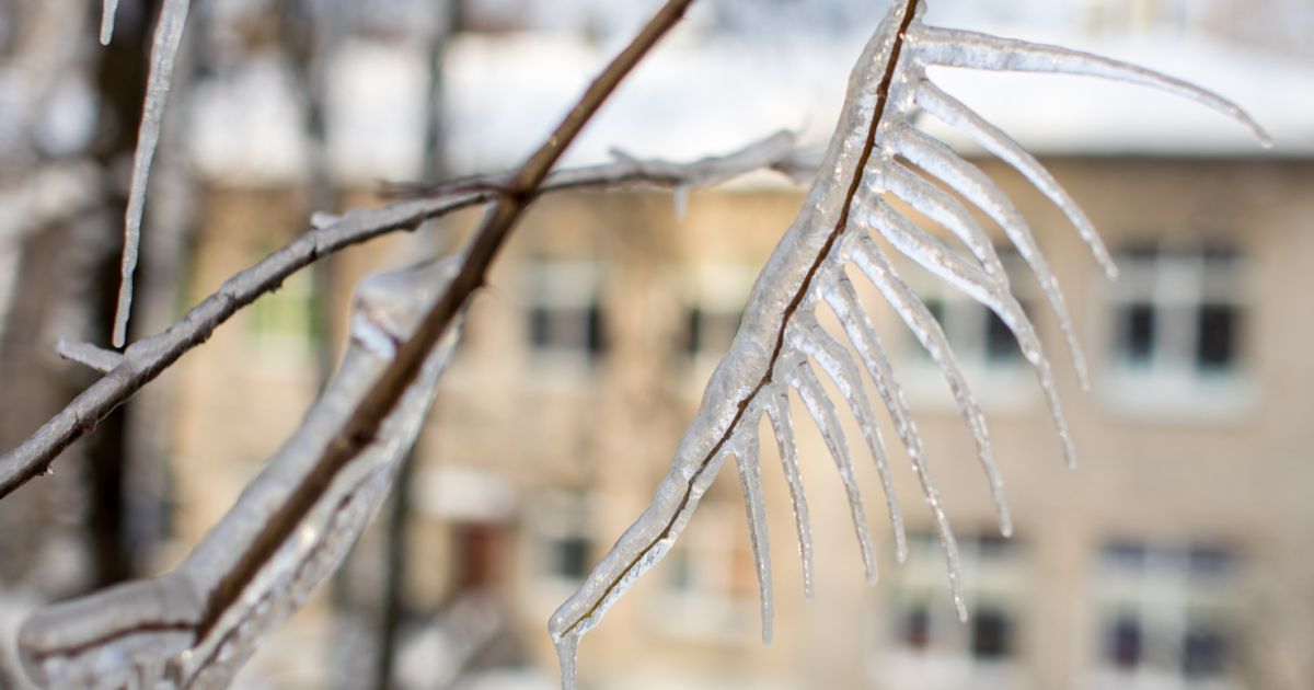 Sinoptikų prognozė savaitgaliui: sulauksime permainingų orų - Respublika.lt