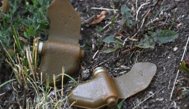 Lietuva oficialiai pasitraukė iš Otavos konvencijos - Respublika.lt