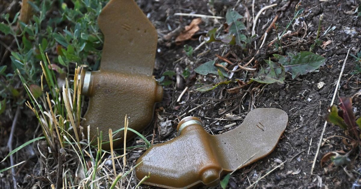 Lietuva oficialiai pasitraukė iš Otavos konvencijos - Respublika.lt