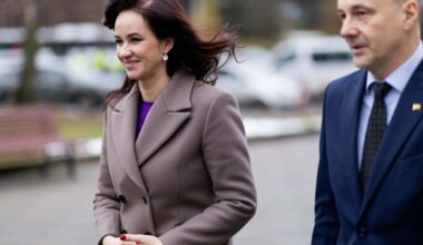 Inga Ruginienė palaiko „aušriečių“ iniciatyvą audituoti gynybos pirkimus - Respublika.lt