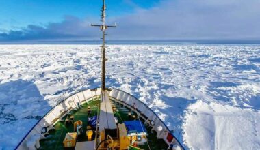 Lošimas iš nenulinės sumos - Respublika.lt